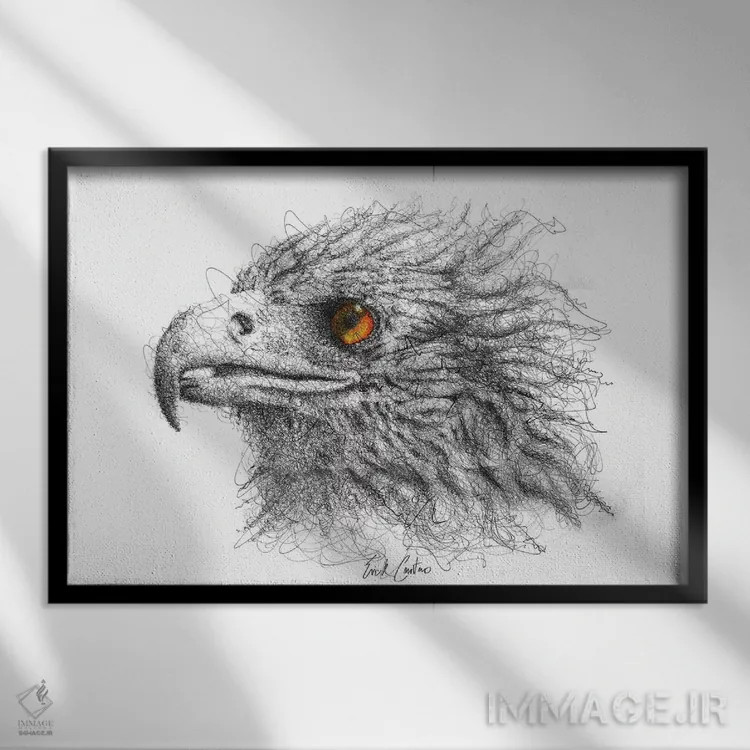 تابلو چشم عقاب اثر ریک سنتنو - نمای قابدار مشکی