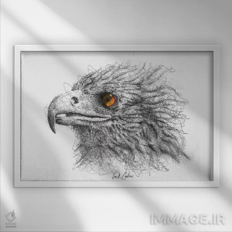 تابلو چشم عقاب اثر ریک سنتنو - نمای قابدار سفید