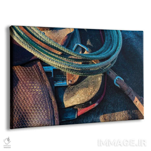 تابلو آمریکا، کالیفرنیا، پارکفیلد، مزرعهٔ V6، جزئیات زین و لَسو اثر الن کلارک - نمای پرسپکتیو محصول