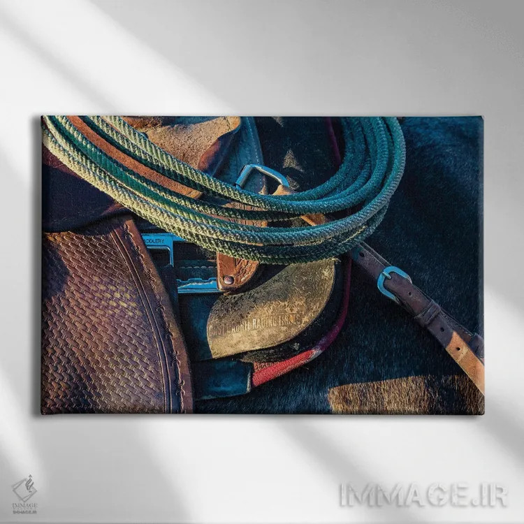 تابلو آمریکا، کالیفرنیا، پارکفیلد، مزرعهٔ V6، جزئیات زین و لَسو اثر الن کلارک - نمای روبهرو روی دیوار