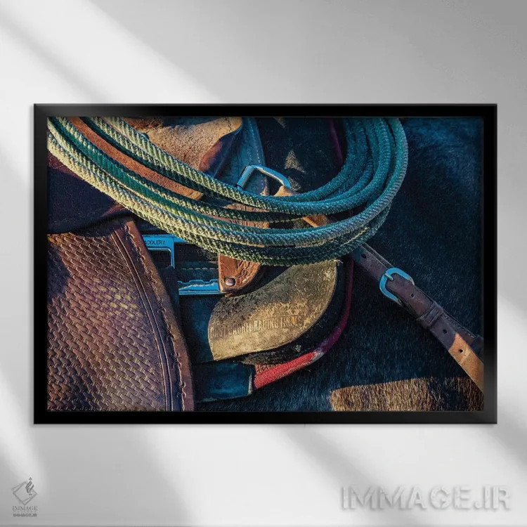 تابلو آمریکا، کالیفرنیا، پارکفیلد، مزرعهٔ V6، جزئیات زین و لَسو اثر الن کلارک - نمای قابدار مشکی