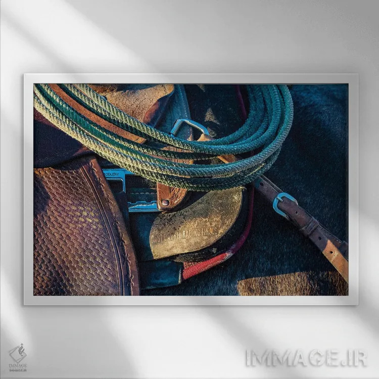 تابلو آمریکا، کالیفرنیا، پارکفیلد، مزرعهٔ V6، جزئیات زین و لَسو اثر الن کلارک - نمای قابدار سفید