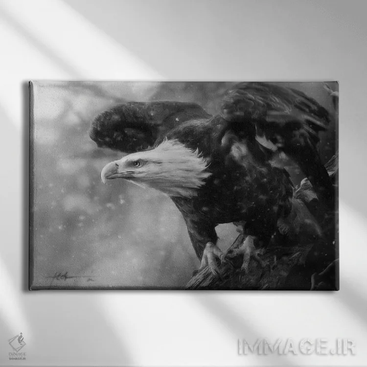 تابلو خشم آزادی اثر جف اچواریا - نمای روبهرو روی دیوار