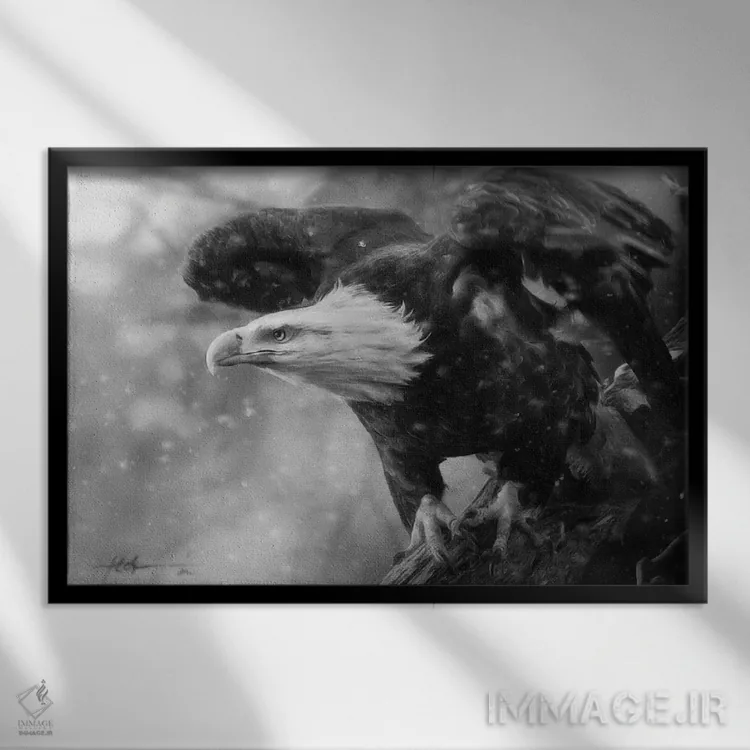 تابلو خشم آزادی اثر جف اچواریا - نمای قابدار مشکی