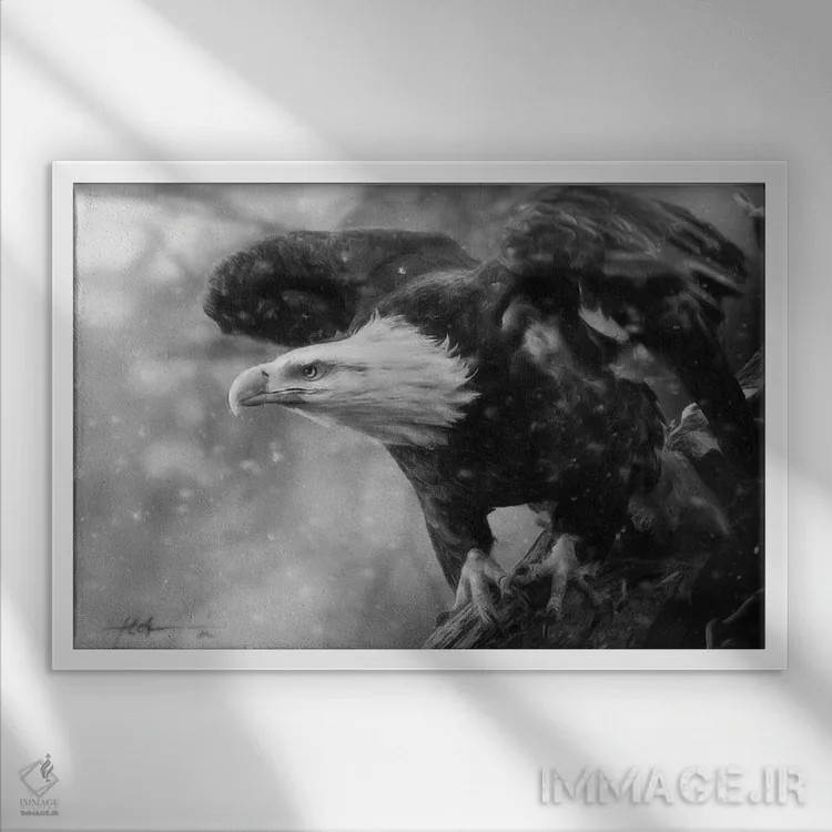 تابلو خشم آزادی اثر جف اچواریا - نمای قابدار سفید