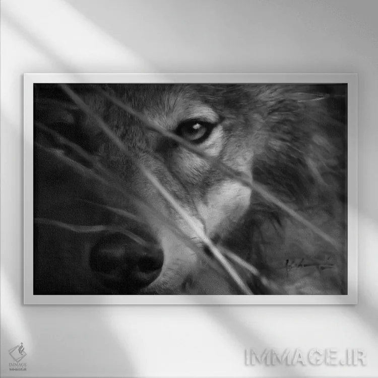 تابلو پنهان اثر جف اچواریا - نمای قابدار سفید