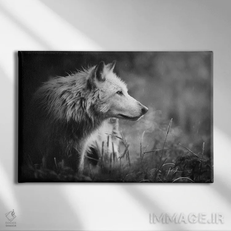 تابلو سیلمی اثر جف اچواریا - نمای روبهرو روی دیوار