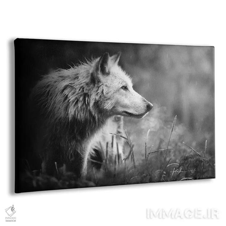 تابلو سیلمی اثر جف اچواریا - نمای پرسپکتیو محصول