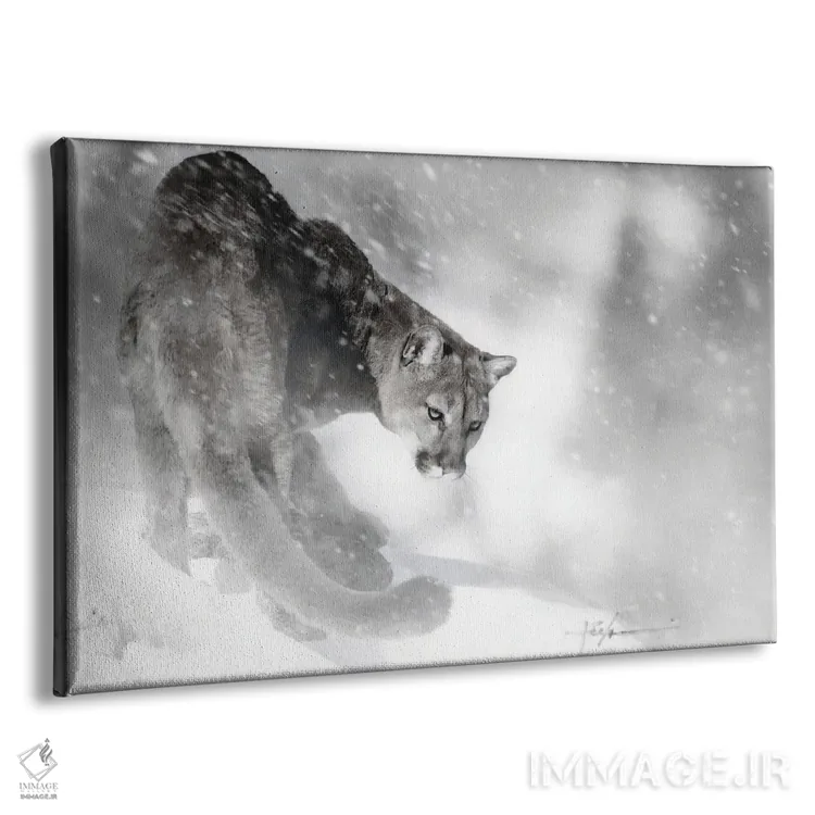 تابلو شیر جوان روی تپه اثر جف اچواریا - نمای پرسپکتیو محصول