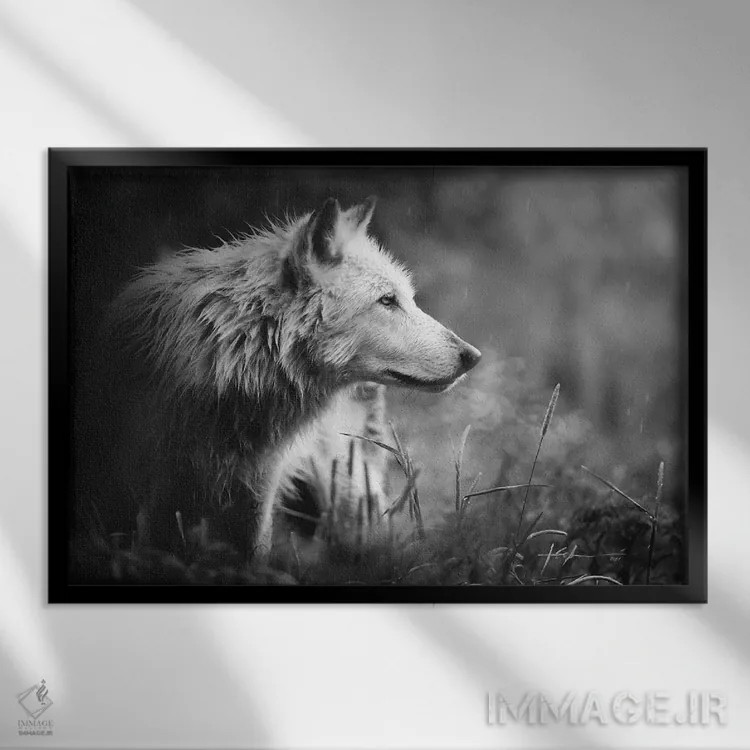 تابلو سیلمی اثر جف اچواریا - نمای قابدار مشکی