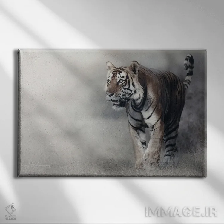 تابلو ببر اثر جف اچواریا - نمای روبهرو روی دیوار