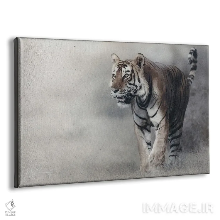 تابلو ببر اثر جف اچواریا - نمای پرسپکتیو محصول