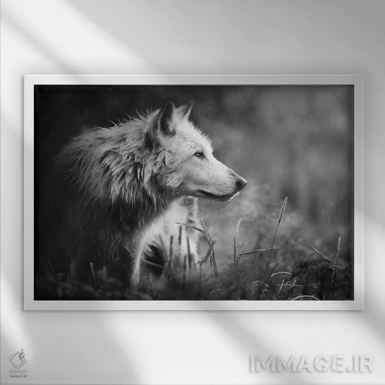 تابلو سیلمی اثر جف اچواریا - نمای قابدار سفید