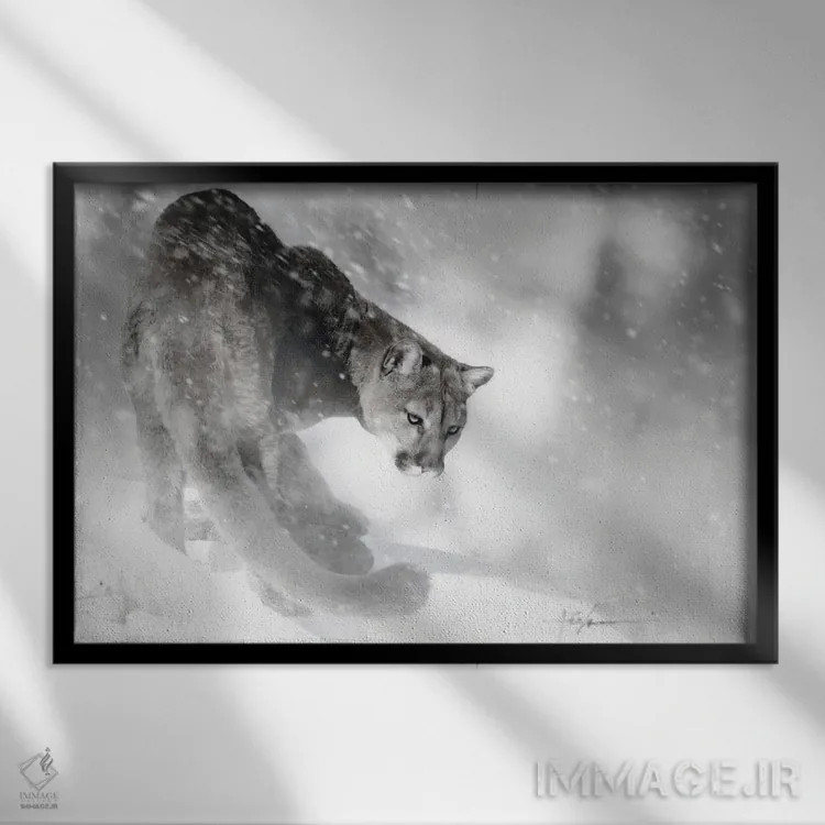 تابلو شیر جوان روی تپه اثر جف اچواریا - نمای قابدار مشکی