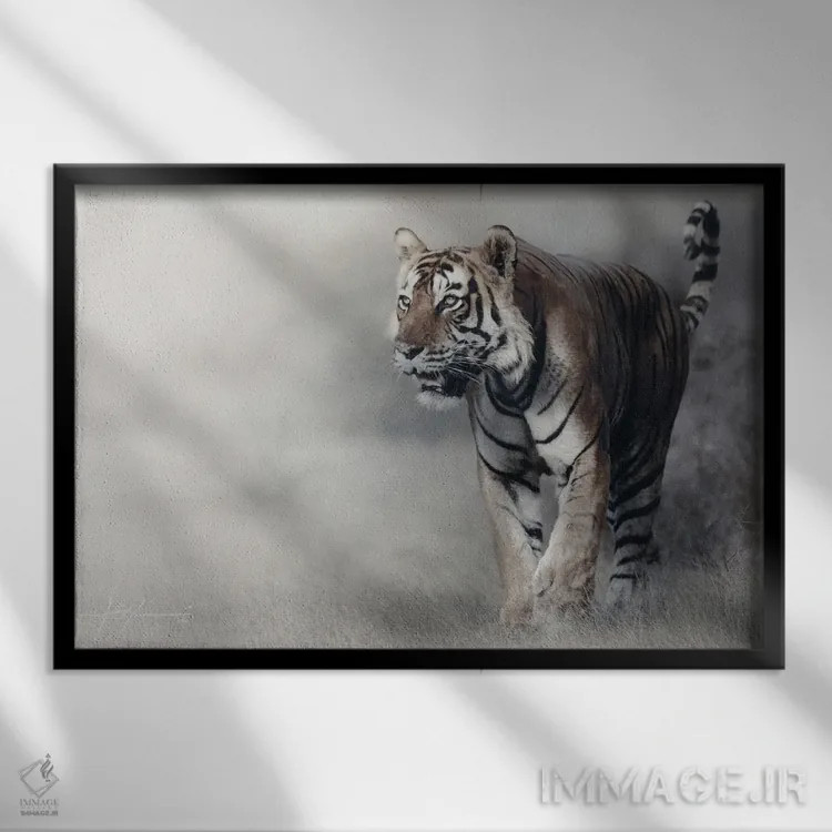 تابلو ببر اثر جف اچواریا - نمای قابدار مشکی
