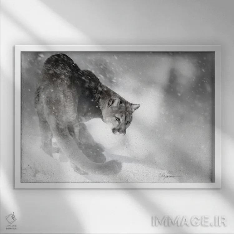 تابلو شیر جوان روی تپه اثر جف اچواریا - نمای قابدار سفید