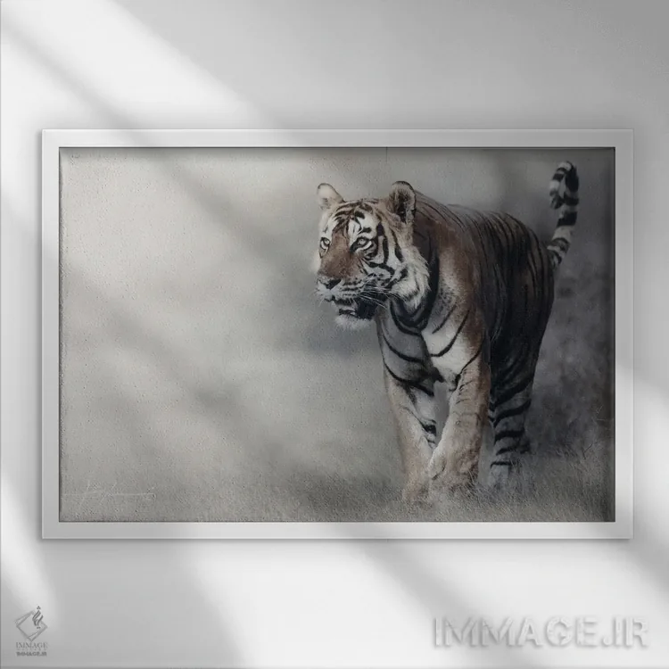 تابلو ببر اثر جف اچواریا - نمای قابدار سفید