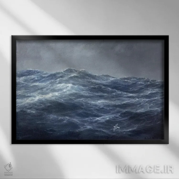 تابلو راه مرغ دریایی اثر ریچارد ویلیس - نمای قابدار مشکی