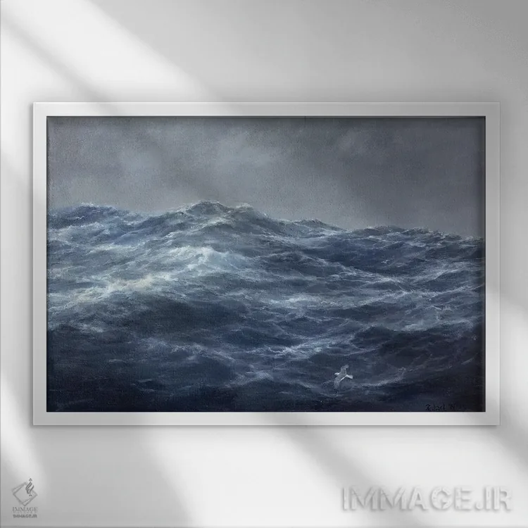 تابلو راه مرغ دریایی اثر ریچارد ویلیس - نمای قابدار سفید