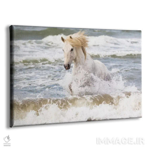 تابلو فرانسه، کامارگ، سنت-ماری-دو-لا-مر. اسب کامارگ در دریای مدیترانه دو اثر الن گاف - نمای پرسپکتیو محصول