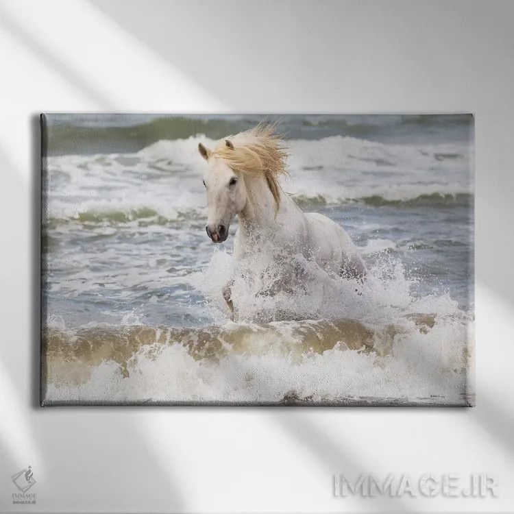 تابلو فرانسه، کامارگ، سنت-ماری-دو-لا-مر. اسب کامارگ در دریای مدیترانه دو اثر الن گاف - نمای روبهرو روی دیوار