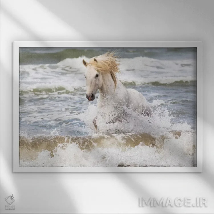 تابلو فرانسه، کامارگ، سنت-ماری-دو-لا-مر. اسب کامارگ در دریای مدیترانه دو اثر الن گاف - نمای قابدار سفید