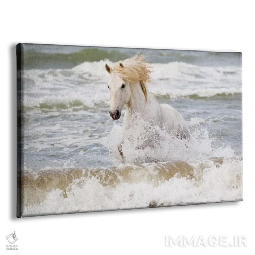 تابلو فرانسه، کامارگ، سنت-ماری-دو-لا-مر. اسب کامارگ در دریای مدیترانه سه اثر الن گاف - نمای پرسپکتیو محصول