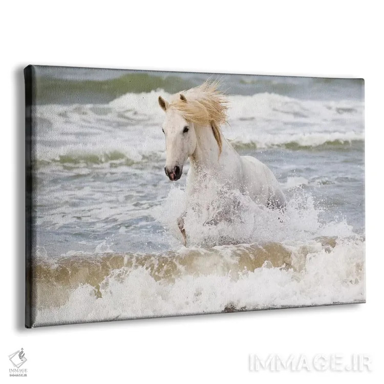 تابلو فرانسه، کامارگ، سنت-ماری-دو-لا-مر. اسب کامارگ در دریای مدیترانه سه اثر الن گاف - نمای پرسپکتیو محصول