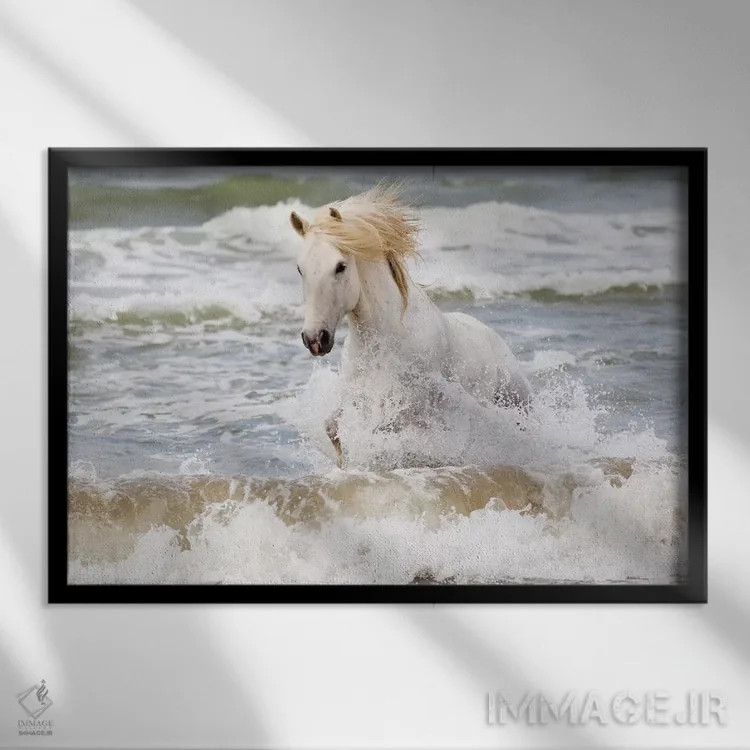 تابلو فرانسه، کامارگ، سنت-ماری-دو-لا-مر. اسب کامارگ در دریای مدیترانه سه اثر الن گاف - نمای قابدار مشکی