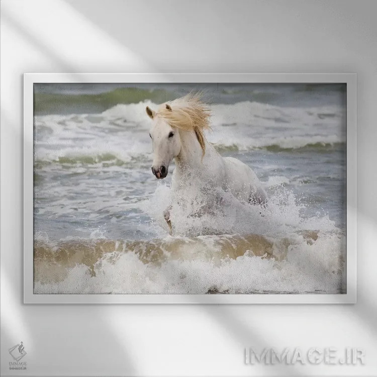 تابلو فرانسه، کامارگ، سنت-ماری-دو-لا-مر. اسب کامارگ در دریای مدیترانه سه اثر الن گاف - نمای قابدار سفید