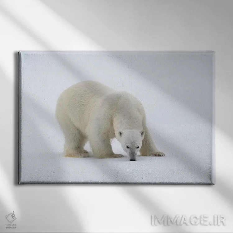 تابلو شمال سوالبارد، یخهای شناور. پرترهای از یک خرس قطبی روی یک تکه یخ بزرگ اثر الن گاف - نمای روبهرو روی دیوار