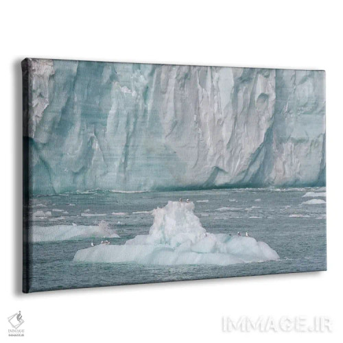 تابلو سوالبارد، جزیره نوردائوستلاندت. یک کوه یخ کوچک جدا شده از یخچال مکانی برای استراحت پرندگان فراهم کرده است اثر الن گاف - نمای پرسپکتیو محصول