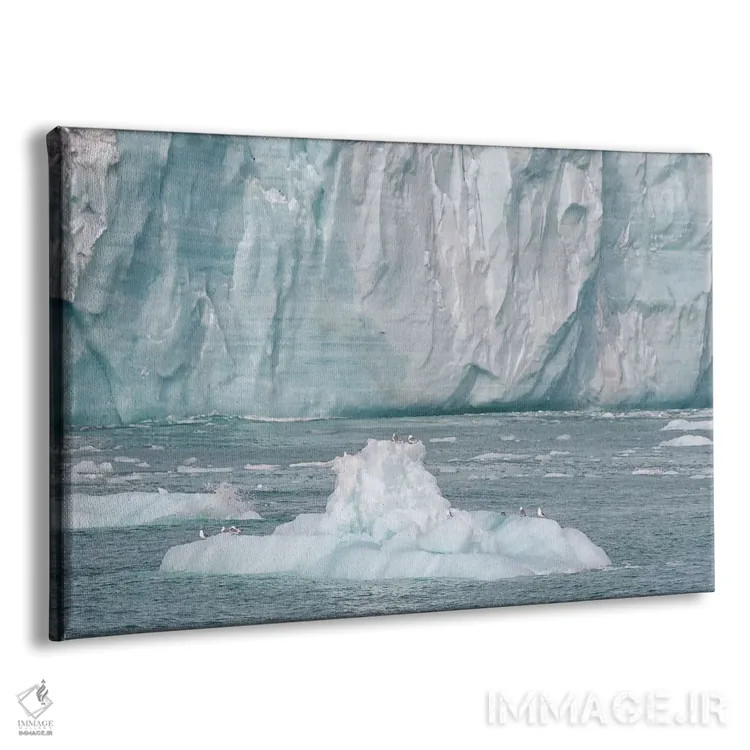 تابلو سوالبارد، جزیره نوردائوستلاندت. یک کوه یخ کوچک جدا شده از یخچال مکانی برای استراحت پرندگان فراهم کرده است اثر الن گاف - نمای پرسپکتیو محصول