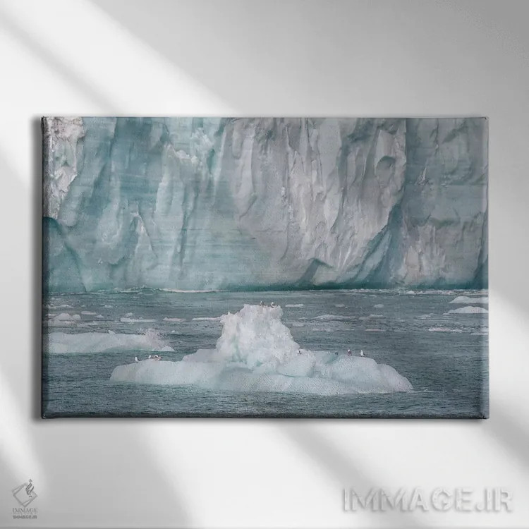 تابلو سوالبارد، جزیره نوردائوستلاندت. یک کوه یخ کوچک جدا شده از یخچال مکانی برای استراحت پرندگان فراهم کرده است اثر الن گاف - نمای روبهرو روی دیوار