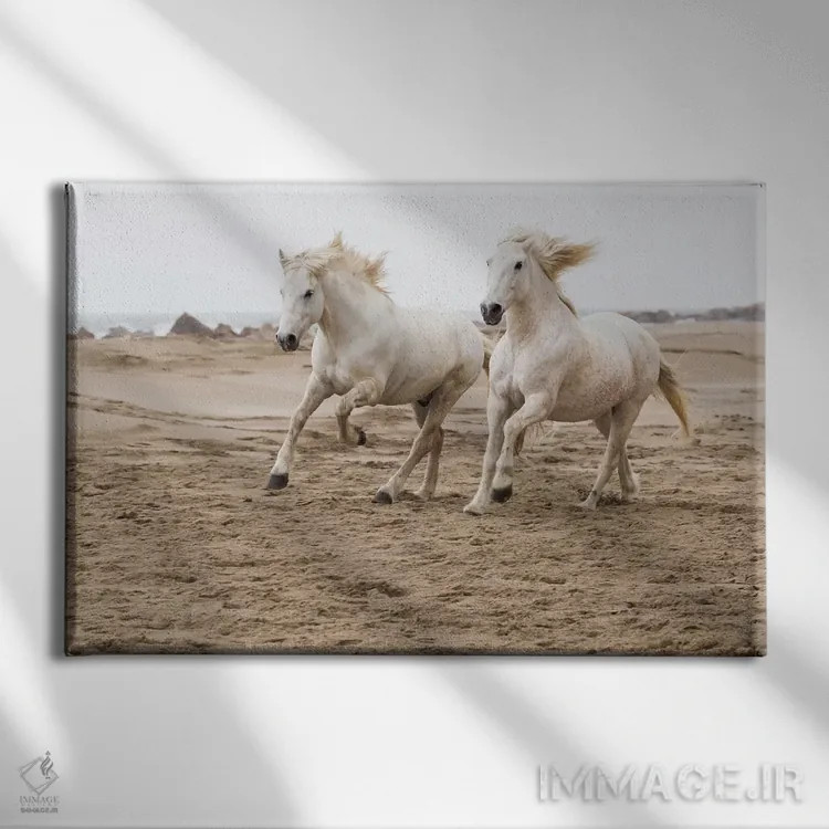 تابلو فرانسه، منطقه کامارگ، سنت-ماری-دو-لا-مر. اسبهای کامارگ در حال دویدن کنار ساحل اثر الن گاف - نمای روبهرو روی دیوار