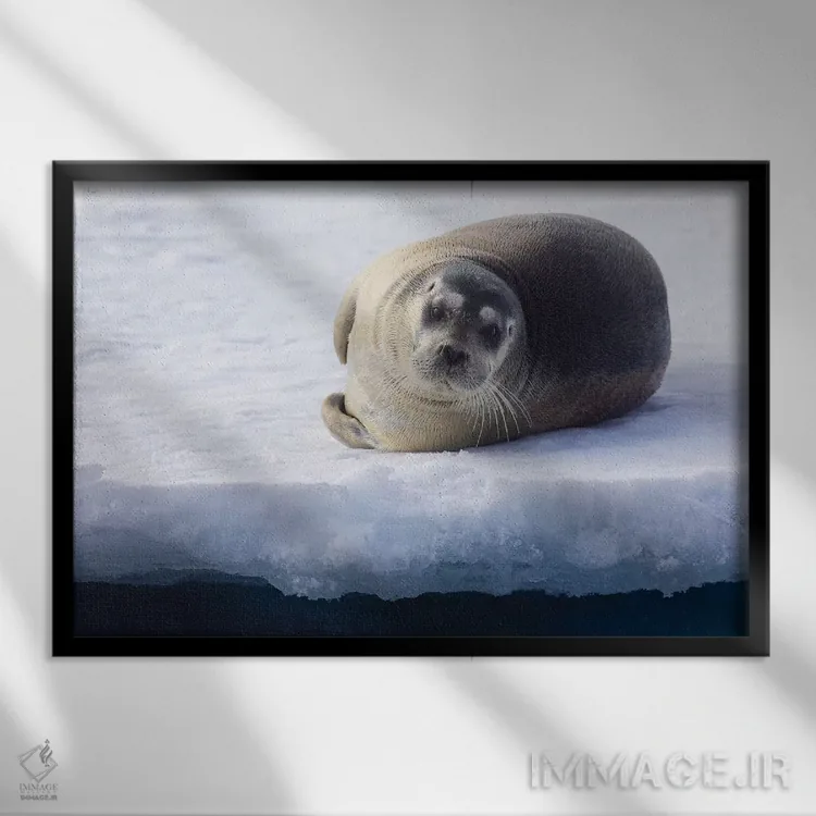 تابلو شمال سوالبارد، یخهای شناور. پرترهای از یک فک ریشو جوان بیرون آمده روی یخهای شناور اثر الن گاف - نمای قابدار مشکی