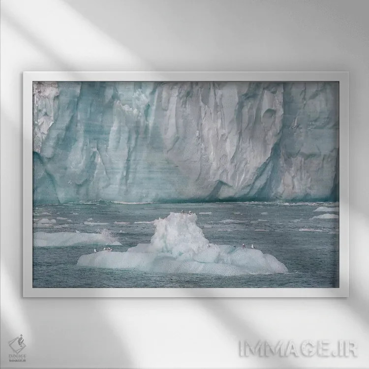 تابلو سوالبارد، جزیره نوردائوستلاندت. یک کوه یخ کوچک جدا شده از یخچال مکانی برای استراحت پرندگان فراهم کرده است اثر الن گاف - نمای قابدار سفید