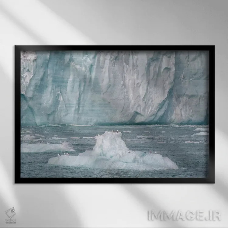 تابلو سوالبارد، جزیره نوردائوستلاندت. یک کوه یخ کوچک جدا شده از یخچال مکانی برای استراحت پرندگان فراهم کرده است اثر الن گاف - نمای قابدار مشکی