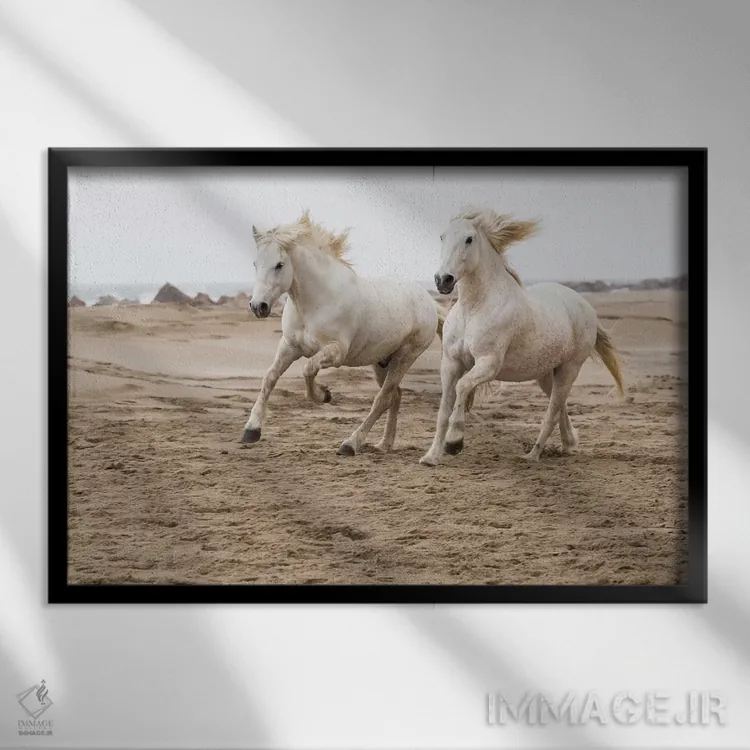 تابلو فرانسه، منطقه کامارگ، سنت-ماری-دو-لا-مر. اسبهای کامارگ در حال دویدن کنار ساحل اثر الن گاف - نمای قابدار مشکی