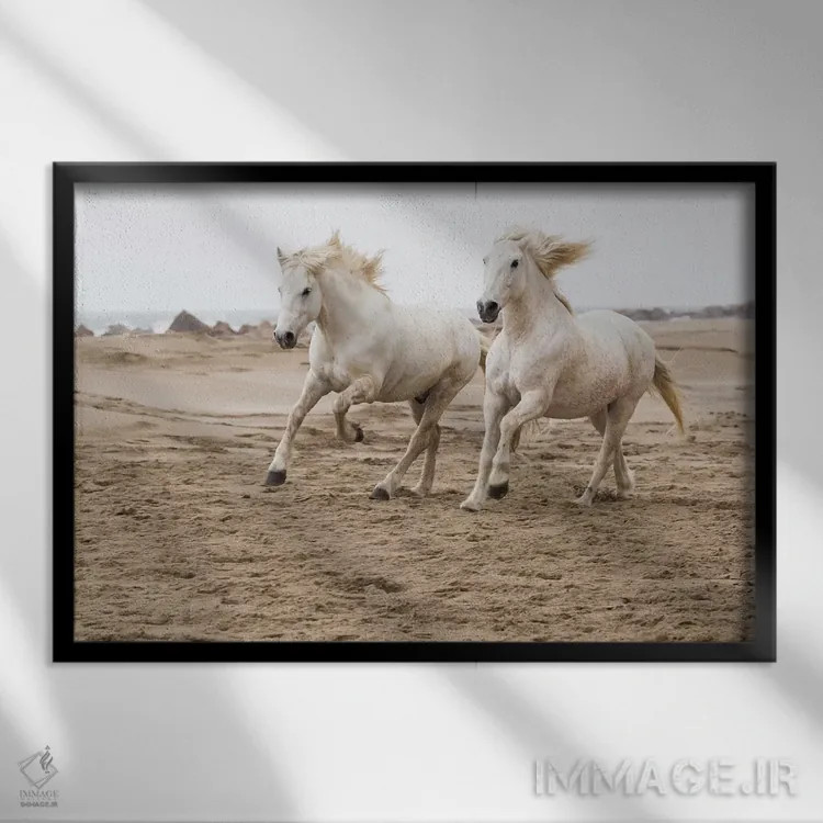 تابلو فرانسه، منطقه کامارگ، سنت-ماری-دو-لا-مر. اسبهای کامارگ در حال دویدن کنار ساحل اثر الن گاف - نمای قابدار مشکی