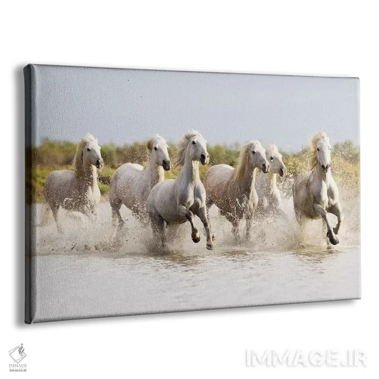 تابلو فرانسه، منطقه کامارگ، سنت-ماری-دو-لا-مر. اسبهای کامارگ در حال تاختن در آب II اثر الن گاف - نمای پرسپکتیو محصول
