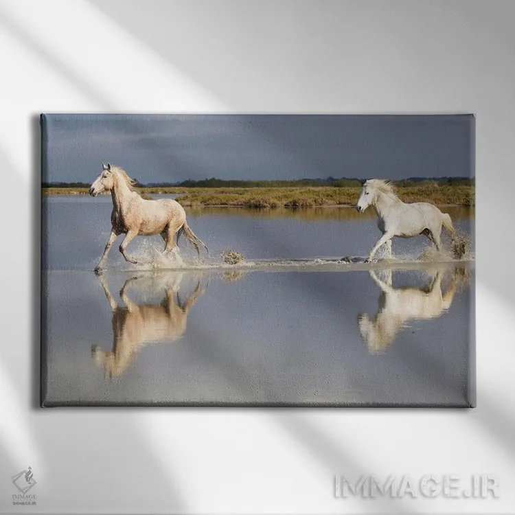 تابلو فرانسه، منطقه کامارگ، سنت-ماری-دو-لا-مر. اسبهای کامارگ در حال تاختن در آب I اثر الن گاف - نمای روبهرو روی دیوار