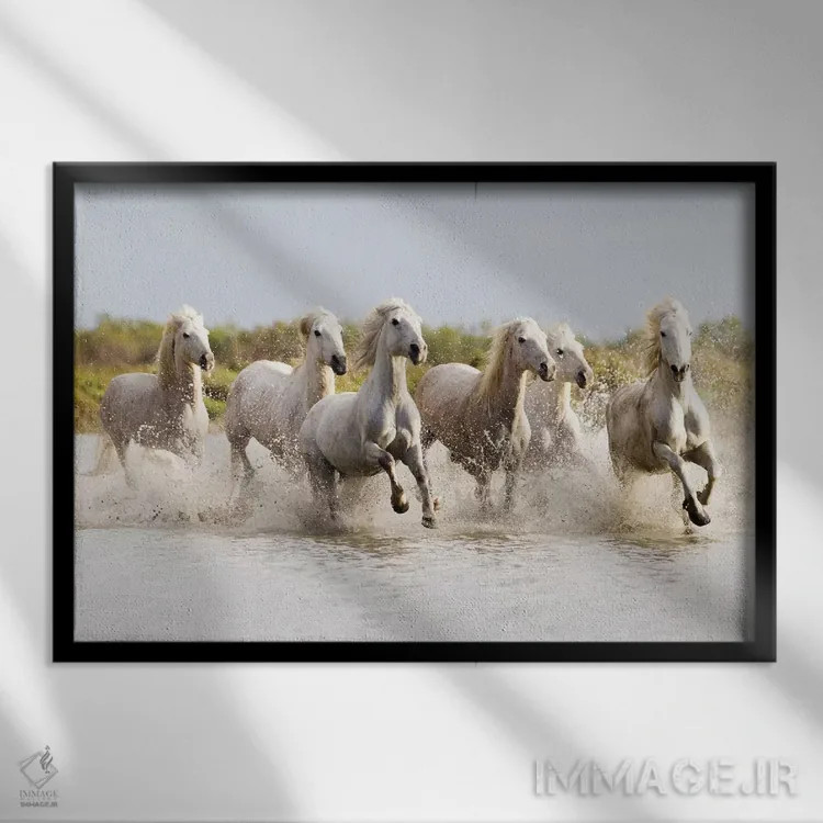 تابلو فرانسه، منطقه کامارگ، سنت-ماری-دو-لا-مر. اسبهای کامارگ در حال تاختن در آب II اثر الن گاف - نمای قابدار مشکی