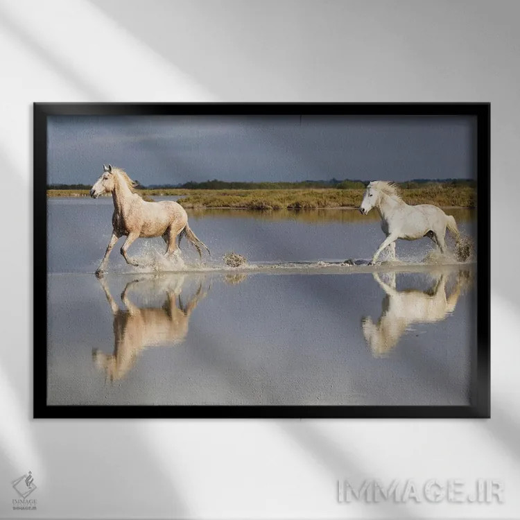 تابلو فرانسه، منطقه کامارگ، سنت-ماری-دو-لا-مر. اسبهای کامارگ در حال تاختن در آب I اثر الن گاف - نمای قابدار مشکی