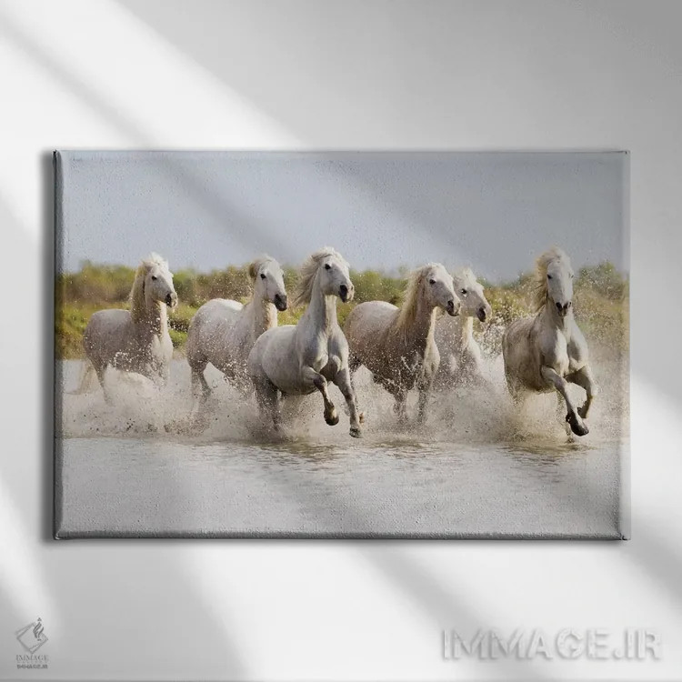 تابلو فرانسه، منطقه کامارگ، سنت-ماری-دو-لا-مر. اسبهای کامارگ در حال تاختن در آب II اثر الن گاف - نمای روبهرو روی دیوار