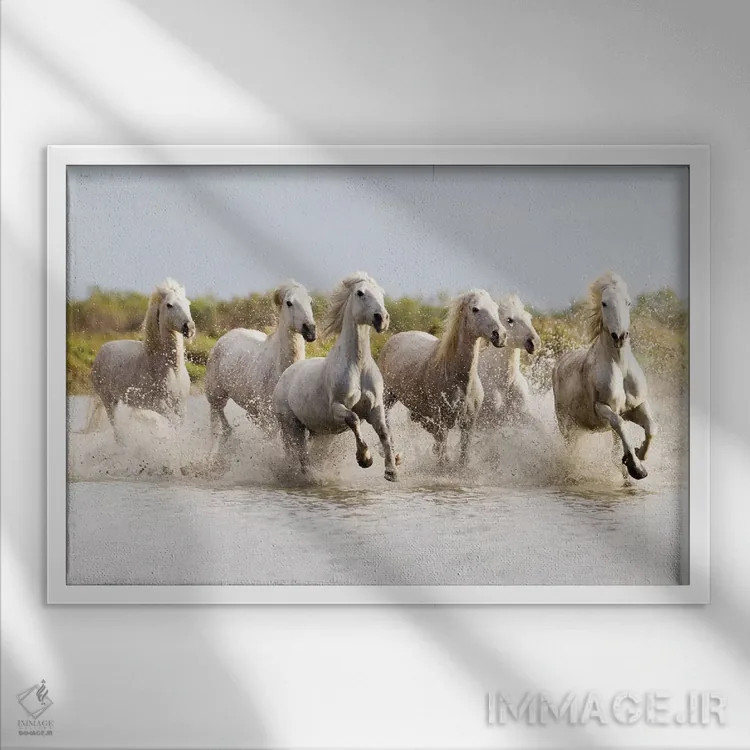 تابلو فرانسه، منطقه کامارگ، سنت-ماری-دو-لا-مر. اسبهای کامارگ در حال تاختن در آب II اثر الن گاف - نمای قابدار سفید