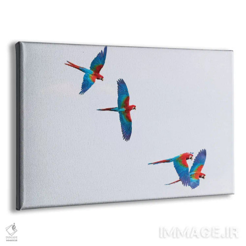تابلو آمریکای جنوبی، برزیل، ماتو گروسو دو سول، جاردیم. مکائوهای سرخ و سبز در حال پرواز در گودال طبیعی I (پرنده) اثر الن گاف - نمای پرسپکتیو محصول