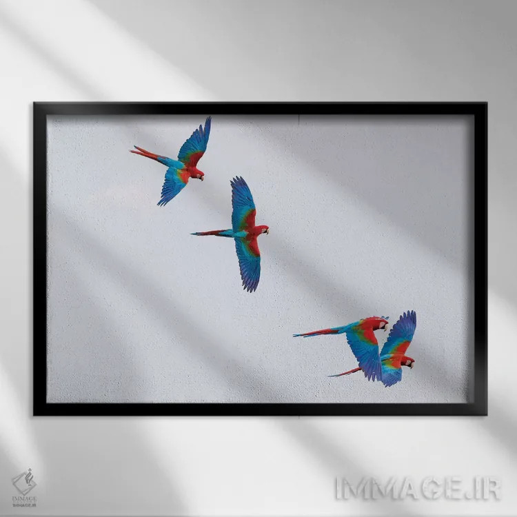 تابلو آمریکای جنوبی، برزیل، ماتو گروسو دو سول، جاردیم. مکائوهای سرخ و سبز در حال پرواز در گودال طبیعی I (پرنده) اثر الن گاف - نمای قابدار مشکی