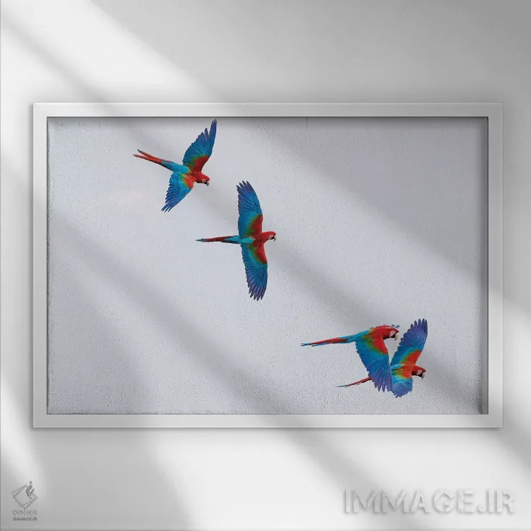 تابلو آمریکای جنوبی، برزیل، ماتو گروسو دو سول، جاردیم. مکائوهای سرخ و سبز در حال پرواز در گودال طبیعی I (پرنده) اثر الن گاف - نمای قابدار سفید