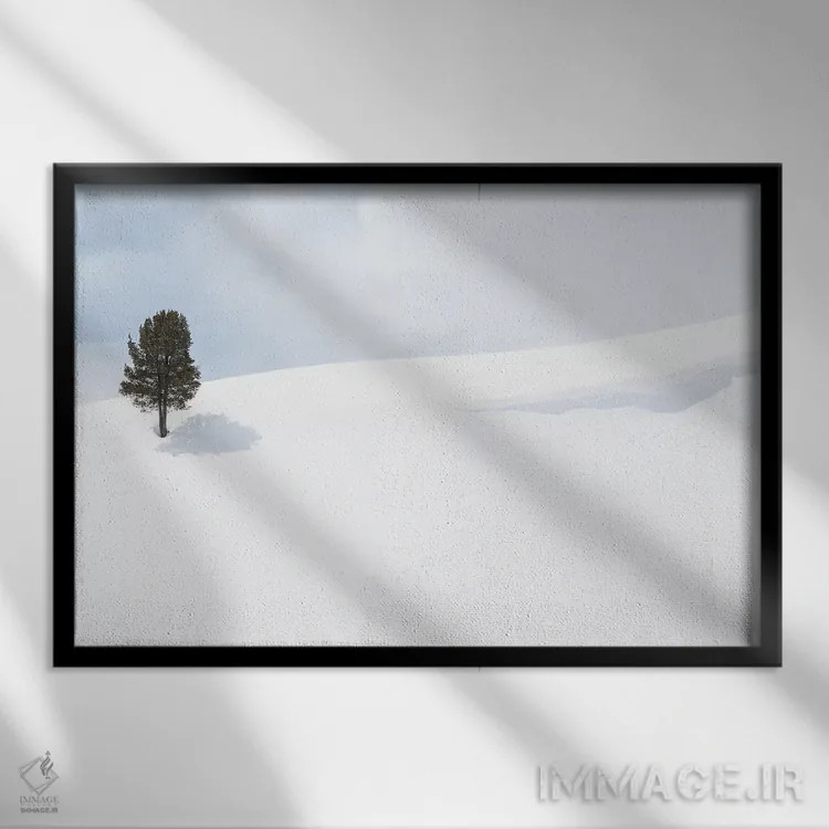 تابلو آمریکا، وایومینگ، پارک ملی یلواستون، دره لامار. درختی که سایهاش را روی برف انداخته است اثر الن گاف - نمای قابدار مشکی